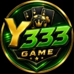 Y333 Game
